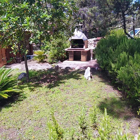 La Casa Di Asso *